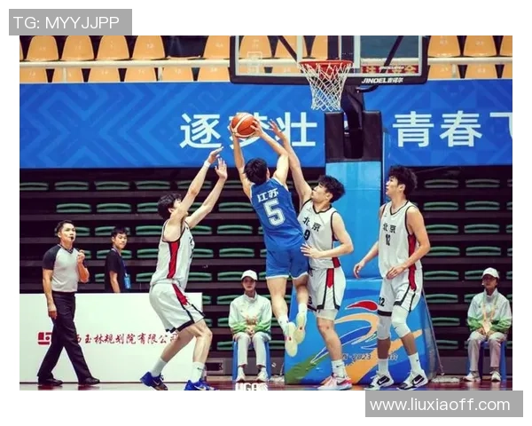 南京篮球队在冠军赛中的默契配合与战术执行分析