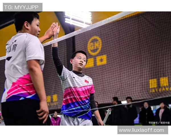 南京羽毛球队独特控制打法深度解析与战术运用探讨