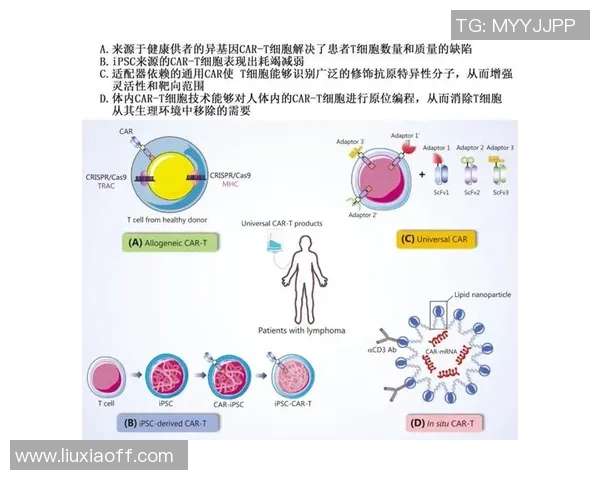 北京乒乓球队耐力训练的关键因素与提升策略探讨