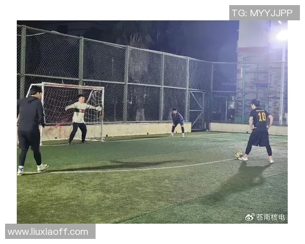 苍南地区足球明星盘点及其在国内外赛场的精彩表现与成就分析