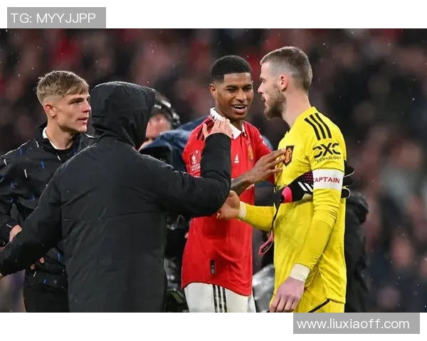 足球明星盲选挑战揭秘谁能在无视球员身份下准确猜测他们的真实实力