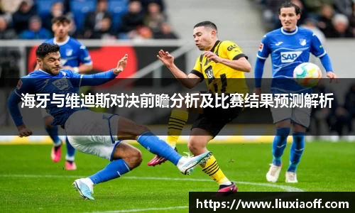 海牙与维迪斯对决前瞻分析及比赛结果预测解析